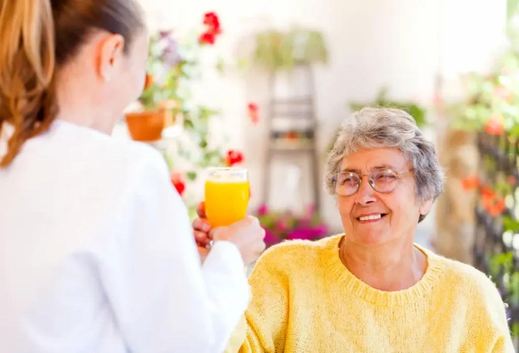 home care support for elderly person in Ireland